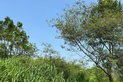 Khu đô thị được ví như 'Phú Mỹ Hưng của miền Bắc' vẫn dang dở sau hơn 18 năm