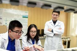 Từ 'học nhanh' đến 'làm chủ': Vì sao Việt Nam cần đại học tinh hoa?
