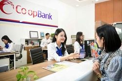 Chính phủ chốt bổ sung 5.000 tỷ đồng từ dự toán ngân sách Nhà nước năm 2026 để nâng vốn điều lệ cho Co-opBank