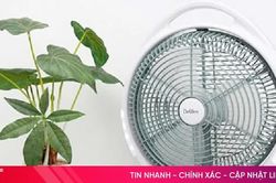 Cảnh báo nguy cơ cháy nổ của quạt tích điện