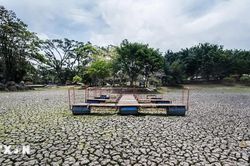 El Nino cực mạnh thách thức sức chống chịu của hệ thống lương thực toàn cầu