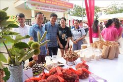 Lễ hội mùa hạt dẻ năm 2026 tại Lạng Sơn