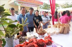 Lễ hội mùa hạt dẻ năm 2026 tại Lạng Sơn