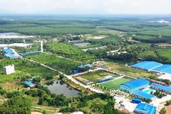 ESG từ yêu cầu tuân thủ đến công cụ nâng năng suất doanh nghiệp