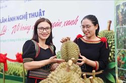120 tác phẩm góp sức quảng bá thương hiệu sầu riêng Đắk Lắk