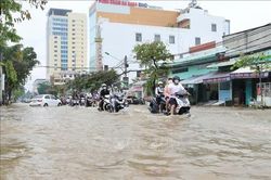 Triều cường Cần Thơ vượt báo động I gây ngập