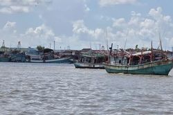 Gành Hào rộn ràng sau những chuyến vươn khơi, sức sống kinh tế nối dài từ biển