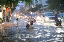 Triều cường Cần Thơ vượt báo động I gây ngập