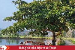 Làng Đồng Bồng - Đồng Ô