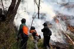 Lực lượng cứu hộ Colombia đối mặt với áp lực kép chưa từng có
