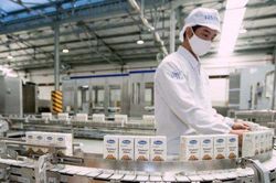 Ngành sữa quý II/2026: Biên lợi nhuận cải thiện, 'sức khỏe' tài chính phân hóa