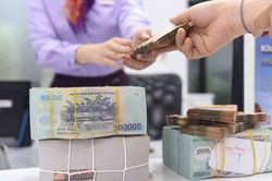 Lịch cổ tức tuần tới: SSI, MBS, VIX, DMX cùng loạt doanh nghiệp chốt quyền