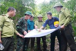 Giữ màu xanh cho đại ngàn Tây Yên Tử