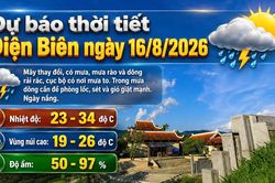Bản tin Dự báo thời tiết ngày 16/8/2026