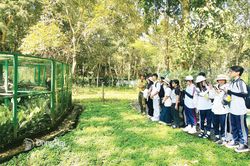 Phát động cuộc thi trực tuyến tìm hiểu về đa dạng sinh học
