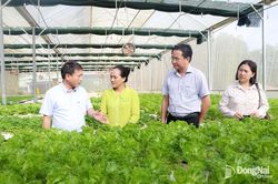 Ðồng hành phát triển sản phẩm OCOP