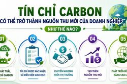 Tín chỉ carbon có thể trở thành nguồn thu mới của doanh nghiệp như thế nào?