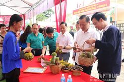Khai mạc mùa hạt dẻ năm 2026