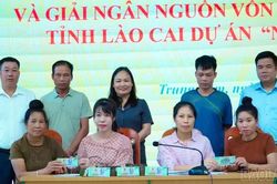 Hội Nông dân tỉnh Lào Cai giải ngân 800 triệu đồng hỗ trợ hội viên nuôi trâu sinh sản