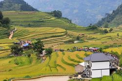 Khai mạc Lễ hội Mùa vàng Sín Chéng lần thứ I năm 2026