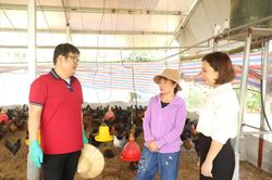 Siết chặt quản lý dịch bệnh trong chăn nuôi
