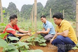 Lạc Lương tự lực vượt khó