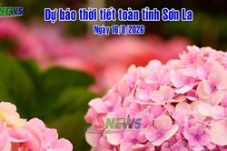 Dự báo thời tiết toàn tỉnh Sơn La ngày 16/8/2026