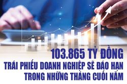 Infographics: 103.865 tỷ đồng trái phiếu doanh nghiệp sẽ đáo hạn trong những tháng cuối năm