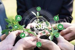 Vốn xanh không chỉ nhìn vào “màu xanh” của dự án