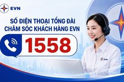 Từ 15/8, EVN đưa số điện thoại tổng đài chăm sóc khách hàng 1558 vào hoạt động