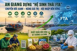 An Giang và bài toán biến lợi thế FTA thành năng lực cạnh tranh bền vững