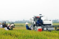 Mạch vốn chính sách thông suốt vùng đất Diễn Châu