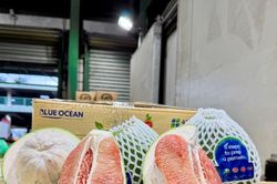 Chuyên gia: Doanh nghiệp cần chuyển từ 'xuất được hàng' sang tham gia chuỗi giá trị Australia