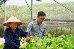 Bảo hộ tài sản trí tuệ, mở đường cho sản phẩm OCOP vươn xa