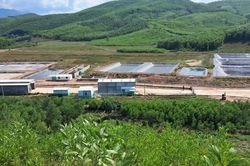 Sau phản ánh của Báo Công an nhân dân, một chủ trại heo bị phạt 180 triệu đồng