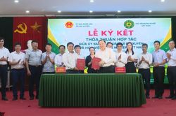 Xã Đại Xuyên liên kết hợp tác trong lĩnh vực nông nghiệp