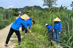 Tuổi trẻ Phục Hòa ra quân 'Tình nguyện chung tay xây dựng nông thôn mới'