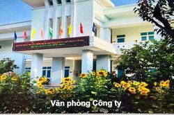 Gia Lai: Sáp nhập 14 Công ty lâm nghiệp do Nhà nước nắm giữ 100% vốn điều lệ