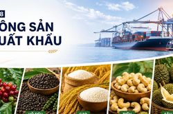 Nông sản xuất khẩu 15/8: Cà phê giảm mạnh, hồ tiêu giữ giá cao