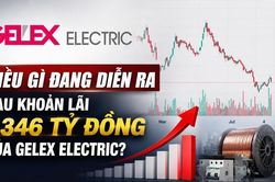 Điều gì đang diễn ra sau khoản lãi 1.346 tỷ đồng của GELEX Electric?