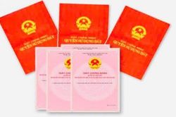 Lâm Đồng yêu cầu đẩy mạnh cấp Giấy chứng nhận quyền sử dụng đất lần đầu