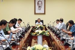 Đà Nẵng định hướng đưa Sâm Ngọc Linh trở thành cây chủ lực