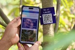 Tăng cường triển khai cấp mã số vùng trồng, cơ sở đóng gói, mở rộng cơ hội xuất khẩu