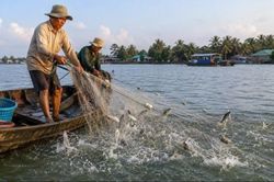 Đồng Tháp tăng cường phối hợp bảo vệ nguồn lợi thủy sản