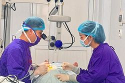 Không đau, không triệu chứng, căn bệnh âm thầm gây mù