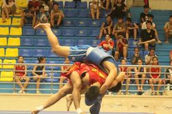 Giá trị khó đo đếm của Giải wushu Hà Nội mở rộng