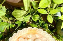 Hà Nội, mở cao điểm kiểm tra an toàn thực phẩm Tết Trung thu