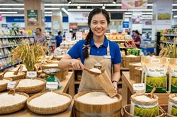 Giá lúa gạo hôm nay 16.8.2026: Thị trường tiếp tục đi ngang