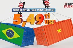 Việt Nam - Brazil: Xuất khẩu tăng 42%, thương mại đạt 5,49 tỉ USD