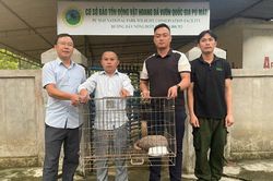 Phát hiện tê tê quý hiếm giữa đường trong khi tuần tra